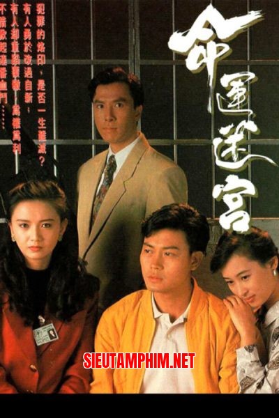 Vận Mệnh Mê Cung