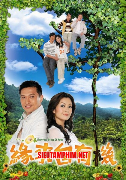 Duyên Tình Trên Mảnh Vườn Xanh