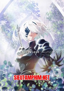 NieR:Automata Ver1.1a