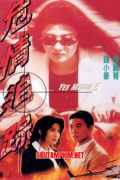 Tiêu Diệt Nhân Chứng 9: Ngụy Tình Truy Án