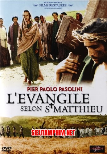 Tin Mừng Theo Thánh Mátthêu