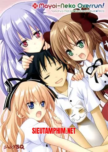 Mayoi Neko Overrun!