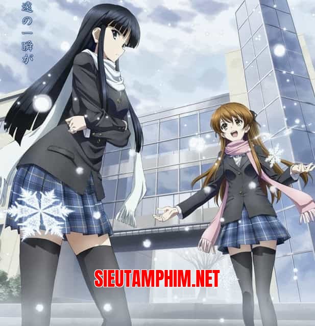 White Album SS1