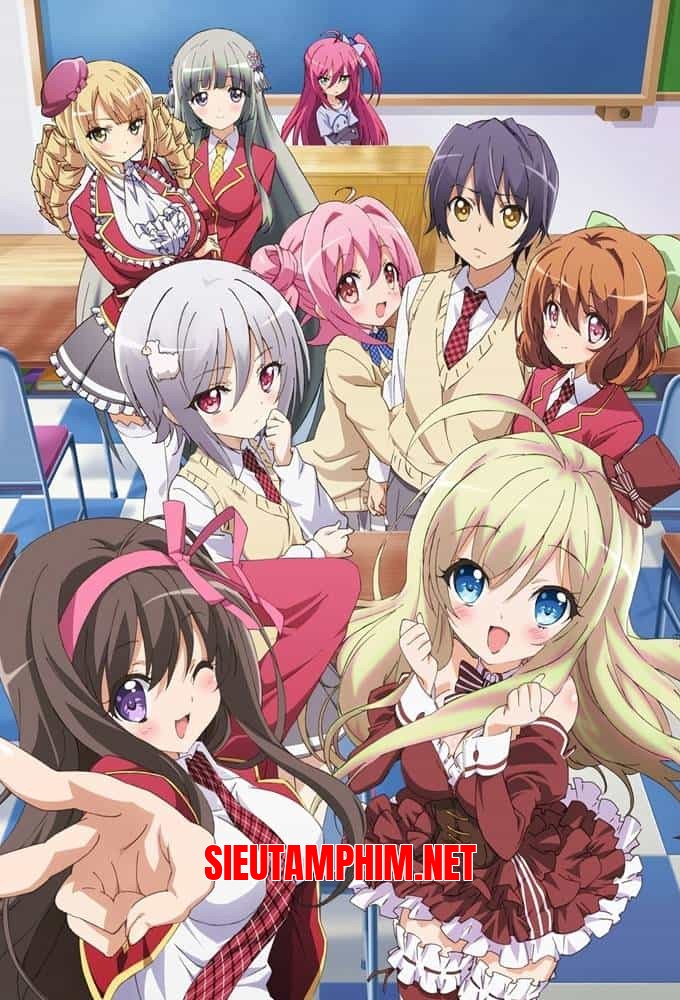 NouCome