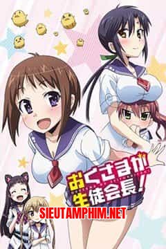 Okusama ga Seitokaichou!
