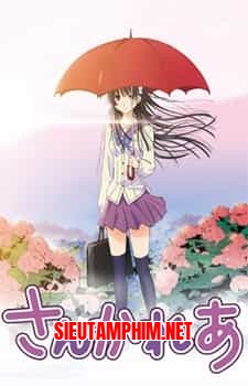 Sankarea