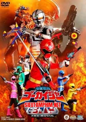 Kaizoku Sentai Gokaiger