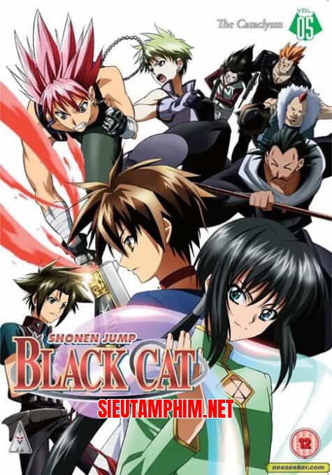 Black Cat