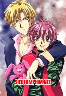 Gravitation