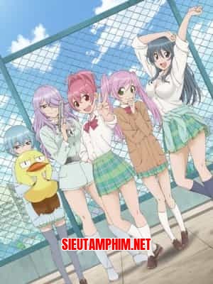 Sabagebu! Specials