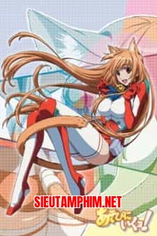 Asobi ni Iku yo! Asobi ni Oide Special