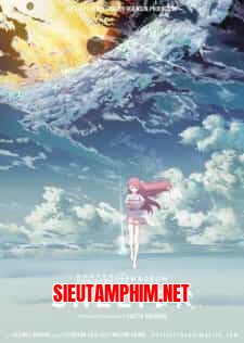 Shelter