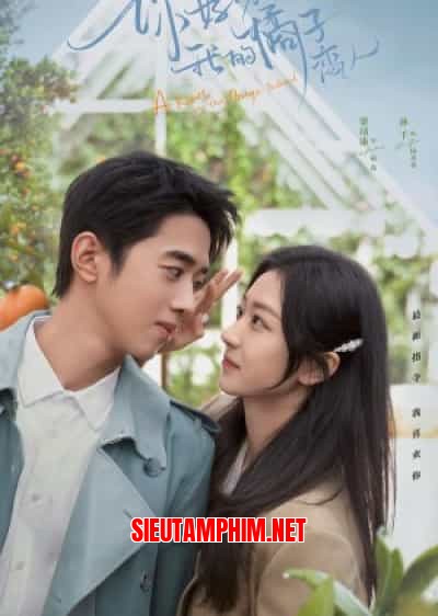 Xin Chào, Người Yêu Quất Tử Của Tôi