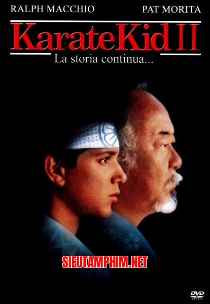 Cậu Bé Karate 2
