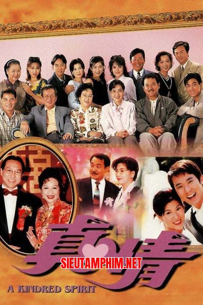 Nghĩa Nặng Tình Thâm