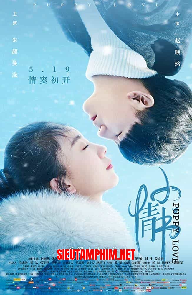 Tình Yêu Tuổi Mới Lớn