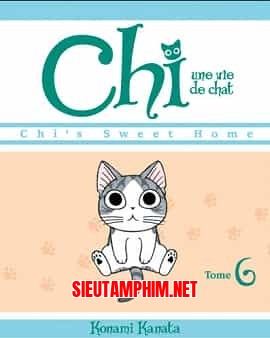 Mái Ấm Của Mèo Chi