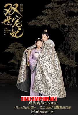 Song Thế Sủng Phi