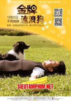 Chú Chó Hoang Đoạt HCV