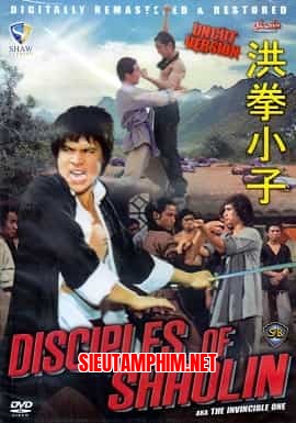 Hồng Quyền Tiểu Tử