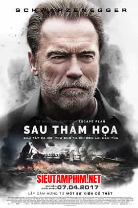Sau Thảm Họa