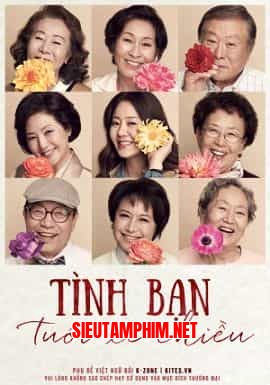 Tình Bạn Tuổi Xế Chiều