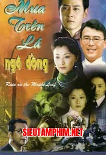 Mưa Trên Lá Ngô Đồng