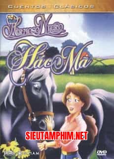 Hắc Mã Vẻ Đẹp Đen