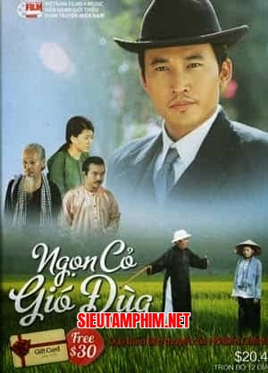 Ngọn Cỏ Gió Đùa