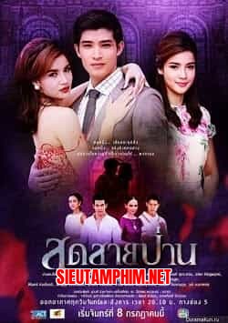 Bi Tình Song Sinh