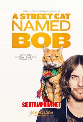 Chú Mèo Đường Phố Tên Bob