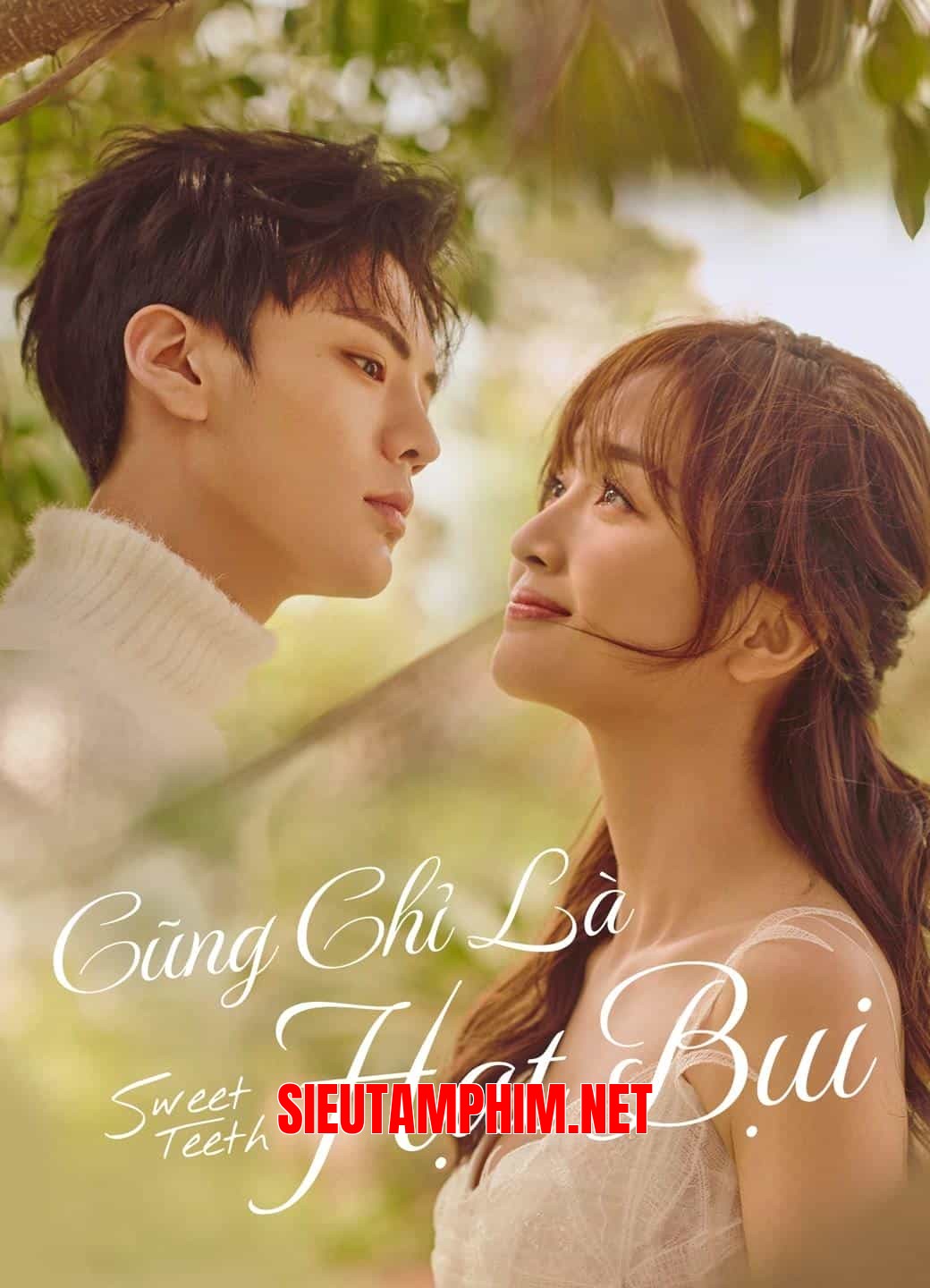 Cũng Chỉ Là Hạt Bụi