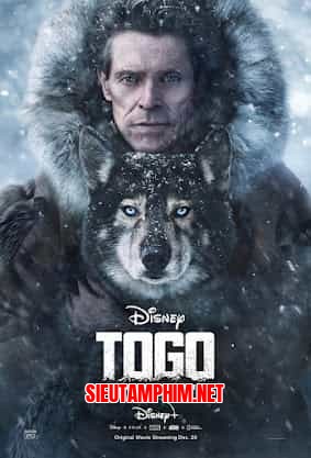 Chú Chó Togo