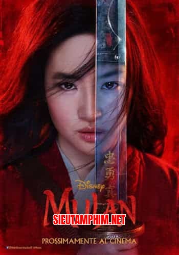 Hoa Mộc Lan