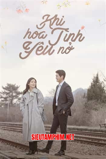 Khi Hoa Tình Yêu Nở