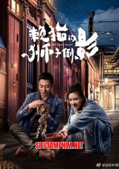 Cái Bóng Sư Tử Của Mèo Lười