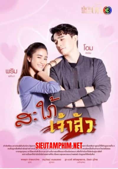 Nàng Dâu Đại Gia