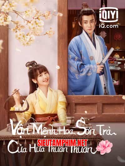 Vận Mệnh Hoa Sơn Trà Của Hứa Thuần Thuần