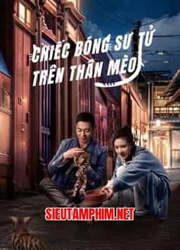 CHIẾC BÓNG SƯ TỬ TRÊN THÂN MÈO