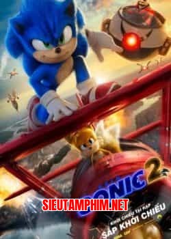 Nhím Sonic 2