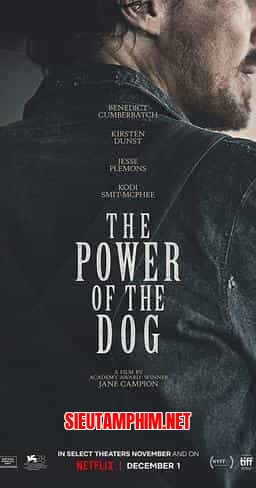 THE POWER OF THE DOG