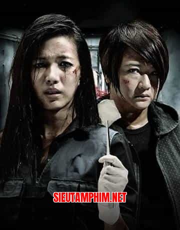 Truy Tìm Manh Mối