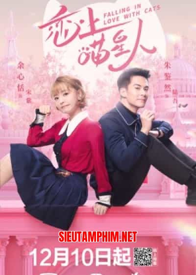 Yêu Phải Nàng Meo Tinh