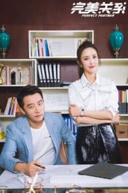 Quan Hệ Hoàn Mỹ (2020) | Perfect Partner (2020)