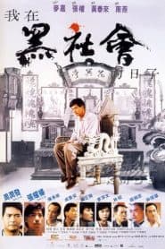 Cuộc Chiến Hội Tam Hoàng (1989) | Triads: The Inside Story (1989)