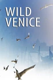 Thiên Nhiên Hoang Dã Venice (2014) | Wild Venice (2014)