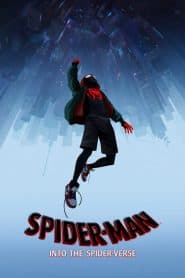 Người Nhện: Vũ Trụ Mới (2018) | Spider Man: Into the Spider Verse (2018)