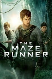 Giải Mã Mê Cung (2014) | The Maze Runner (2014)