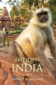 Ấn Độ Huyền Bí (2017) | Hidden India (2017)