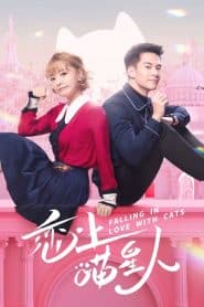 Yêu Phải Nàng Meo Tinh (2020) | Falling in Love with Cats (2020)